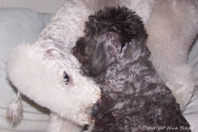 100_7449 - Kopie.JPG